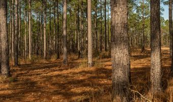 001 Old Stage Rd, Atmore, AL 36502
