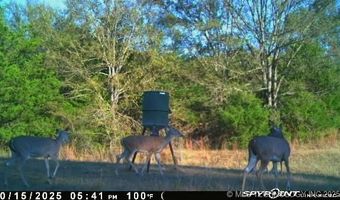 10450 County Road 1490 Rd, Ada, OK 74820