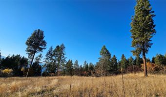 Nhn Sylvan Drive, Bigfork, MT 59911