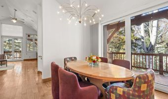824 Bonita Dr, Aspen, CO 81611