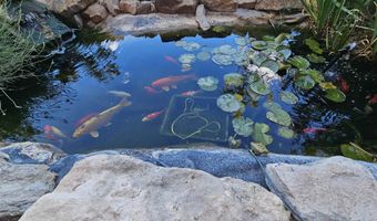1434 Melanie Ln, Alamogordo, NM 88310