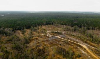 US Hwy 98, Beaumont, MS 39423