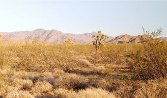 3501 Wild Bill Rd, Yucca, AZ 86438