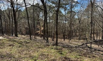 TR 3A FM 752, Alto, TX 75925