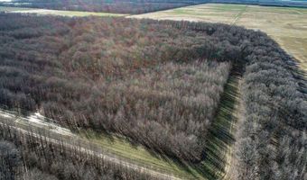 6075 Curtis Rd, Batesville, MS 38606