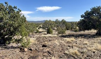 Lot 46 W Rawhide Ranch Road, Ash Fork, AZ 86320