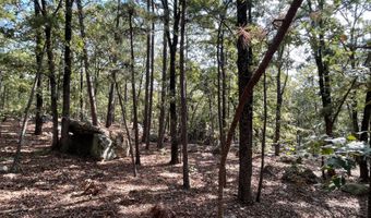 Tract 52 E 1885 Road, Antlers, OK 74523