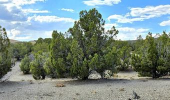 816 Hamilton Stage Rd, Elko, NV 89801