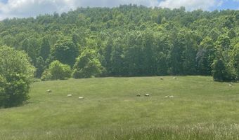 Tract # 13 Hunter Ray Way, Albany, KY 42602