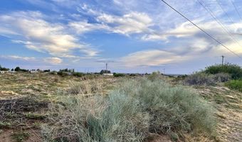 Tbd SHRODE Road, Anthony, NM 88021