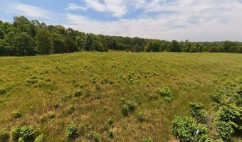 N County Road 113, Alton, MO 65606
