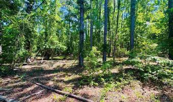 Grants Mill Rd W, Bennettsville, SC 29512
