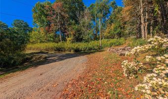 Nicholas Knoll 41, Bakersville, NC 28705