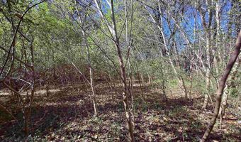 HWY 167, Bald Knob, AR 72010