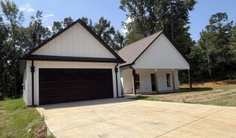 1007 CR 208, Blue Springs, MS 38828