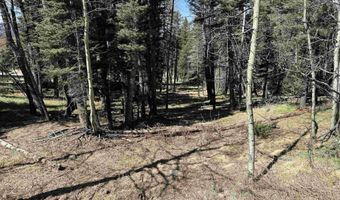 1451 El Camino Real, Angel Fire, NM 87710