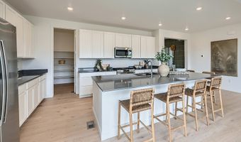 4681 Thistle Dr Plan: Aspen, Brighton, CO 80601