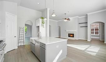 2007 Lorelle Ct, Allen, TX 75013