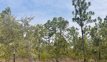 375 Village Ln, Mauk, GA 31058