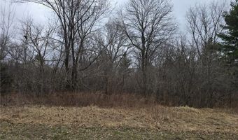 L4 B1 288th Avenue NW, Baldwin Twp., MN 55398
