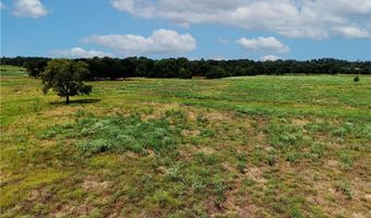 Tbd Tract 5 Fm-2819, Anderson, TX 77830