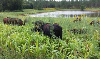 3175 Trotter Rd, Asheboro, NC 27205