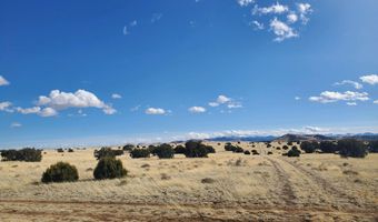 CR 5120, Concho, AZ 85924