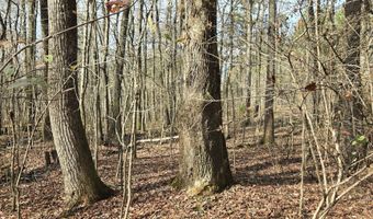 Yatesville Road, Barnesville, GA 30204