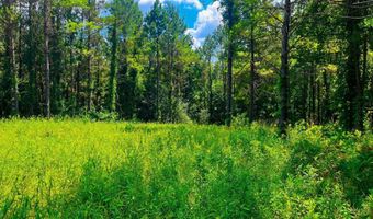 Arthur Drive, Brookhaven, MS 39601