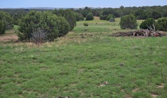 Birdwing Lane, Clay Springs, AZ 85923