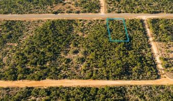 02-2 N 11-0083-00P0-0310 Fairview Rd, Alford, FL 32420
