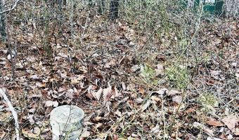 1441 Valley View Heights Ln Lot 3, Andrews, NC 28901