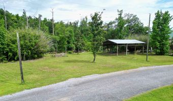 20747 NW Chipola Hts, Altha, FL 32421