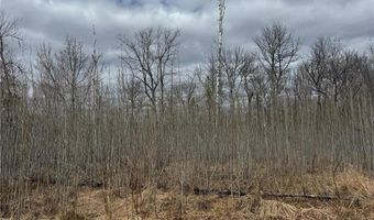 Township Road 5743, Alborn, MN 55702