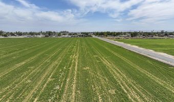 Road 38, Alpaugh, CA 93201