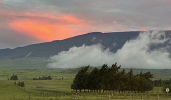 64-600 Mealani Rd, Kamuela, HI 96743