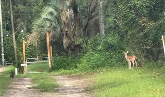 24415 NW 90TH Pl, Alachua, FL 32615