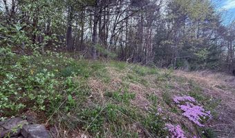 23 Dewitt Rd, Accord, NY 12404