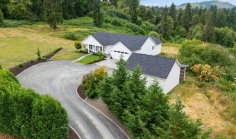 14907 NE 403RD St, Amboy, WA 98601