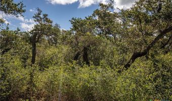 N McCampbell Street, Aransas Pass, TX 78336