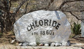 4868 W Tennessee Ave, Chloride, AZ 86431