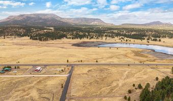 440 2104, Alpine, AZ 85920