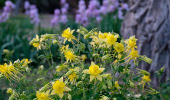 927 CAMINO VISTA RIO, Bernalillo, NM 87004