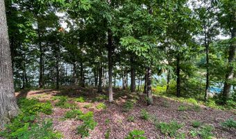 1147 Lakefront Pl, Baneberry, TN 37890