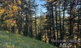 120 Acres Anatone, Anatone, WA 99401