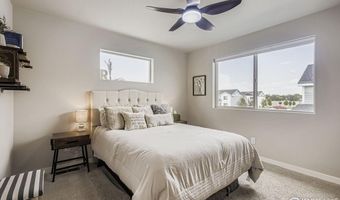 620 Apache Trl B1, Ault, CO 80610