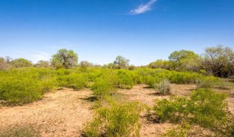 4246 Rakowitz Rd, Adkins, TX 78101