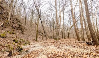 County Road 19-A, Alton, MO 65606