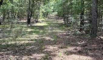 0000 Cr-3401, De Kalb, TX 75559
