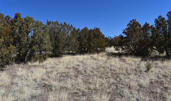 Tbd Stanford Road, Concho, AZ 85924